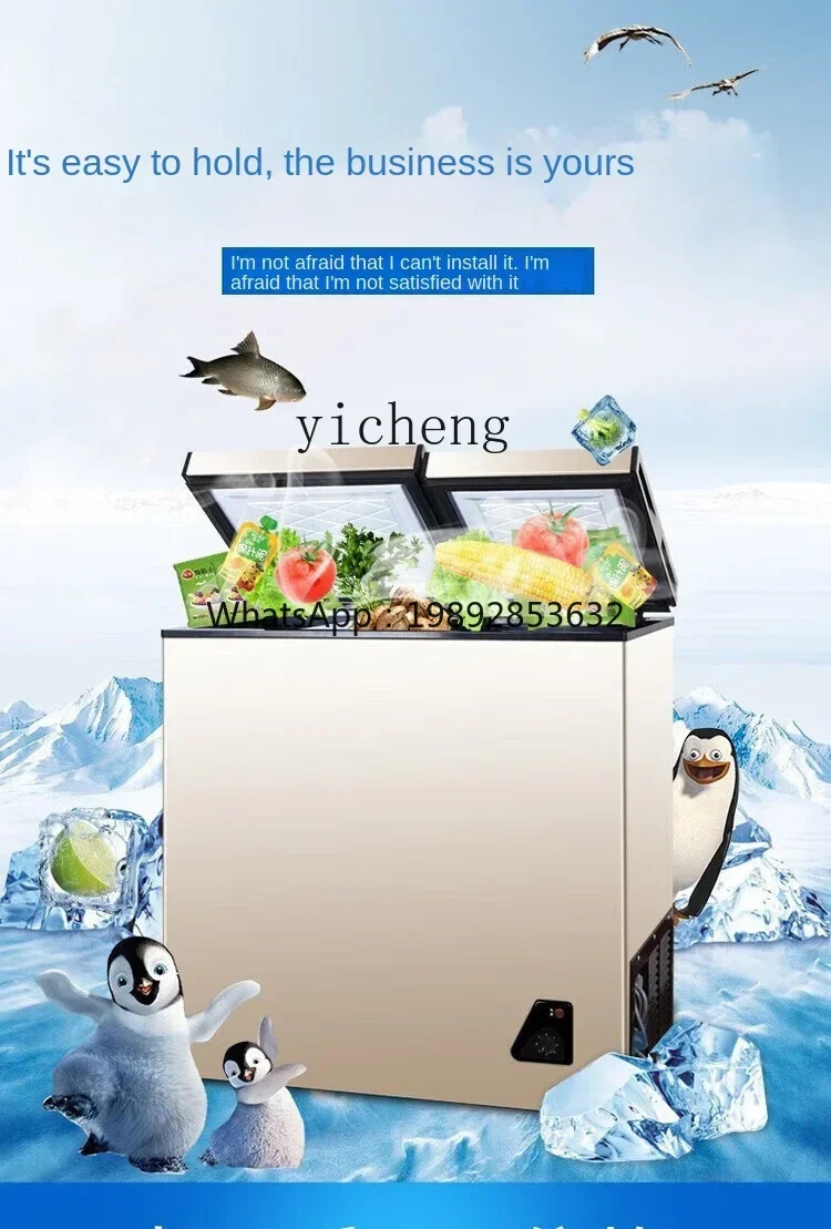 Food Storage Frozen - Household Full Frozen Small Mini Power