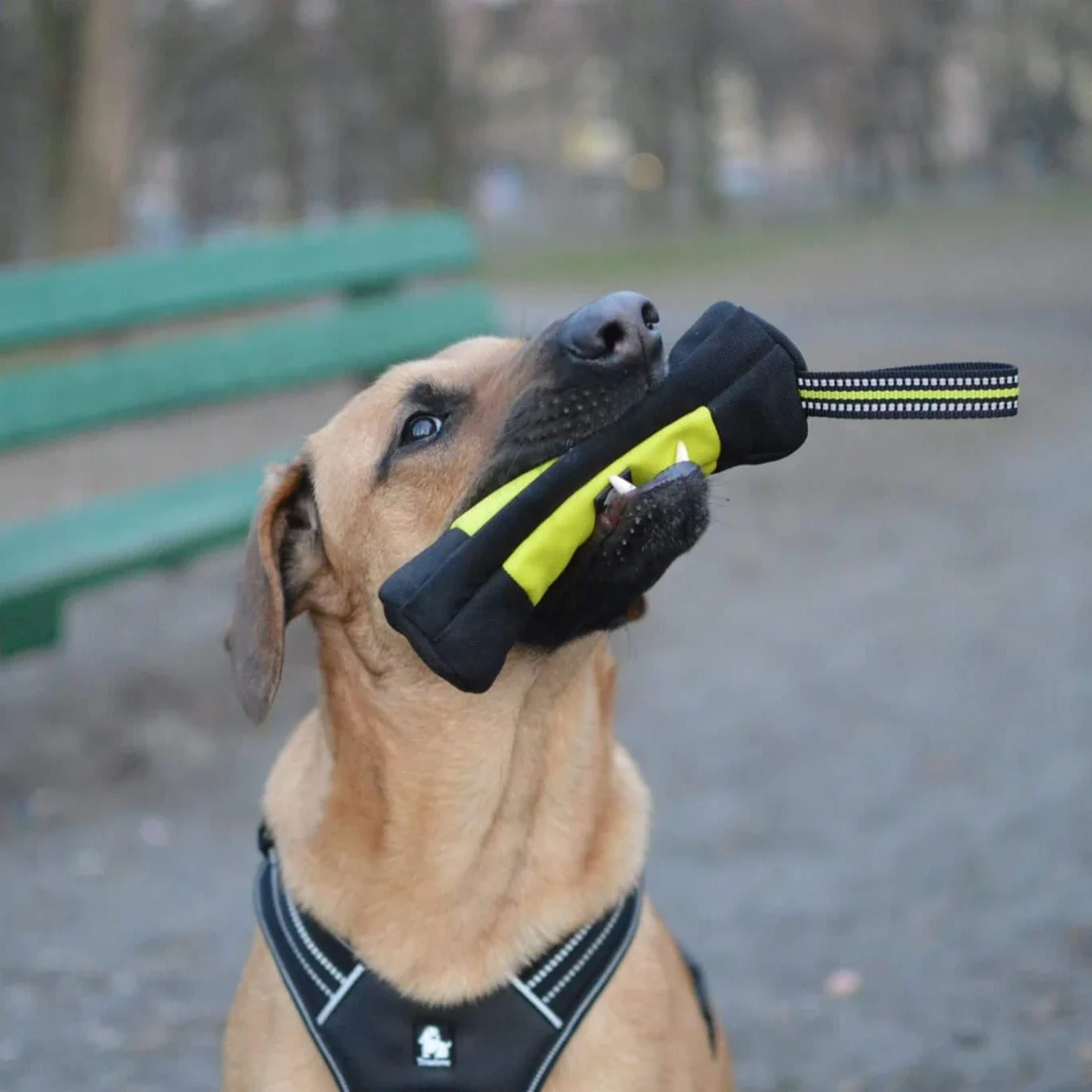 Truelove Dog Training Retrieve - огляд і ціна Food Storage Reusable Bags