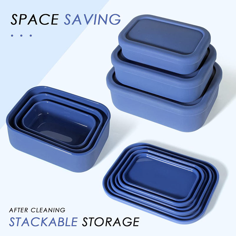 Leak-Resistant Bento Lunch Box - огляд і ціна Food Storage Silicone
